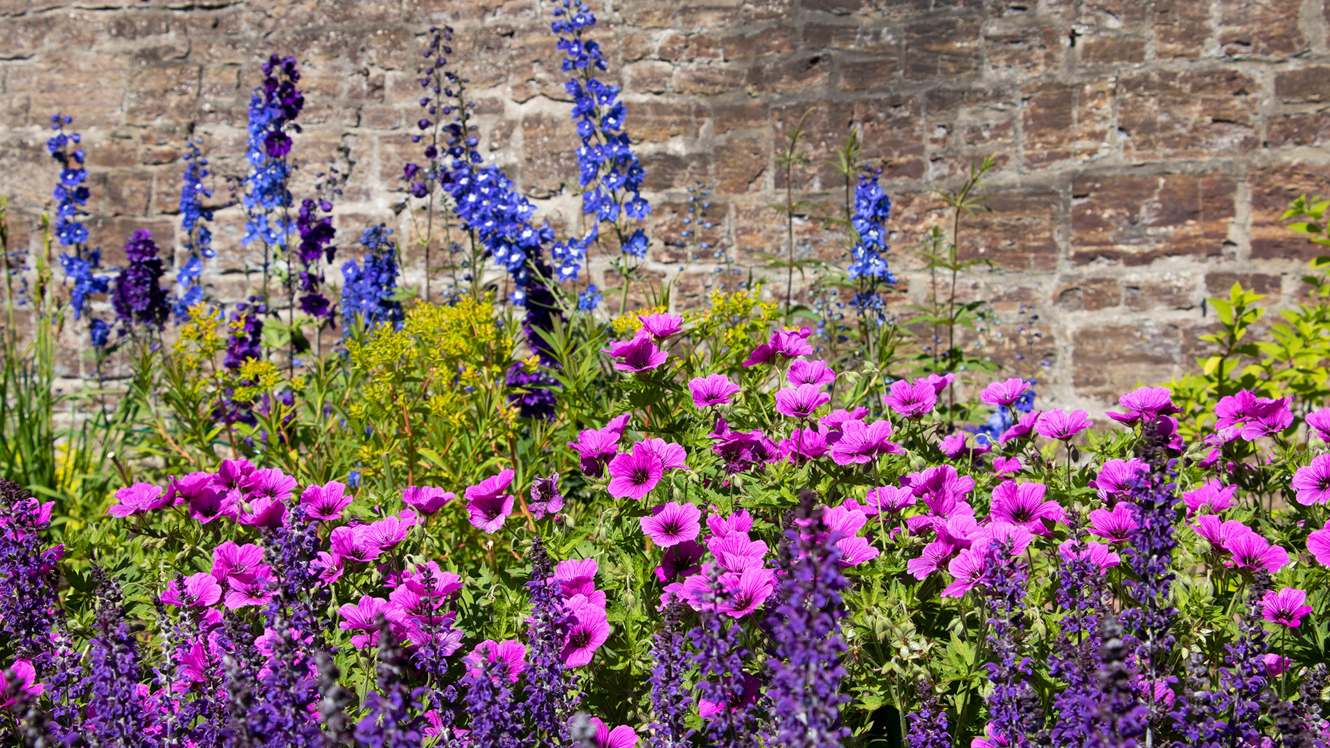 Murrabatt med färgglada blommor